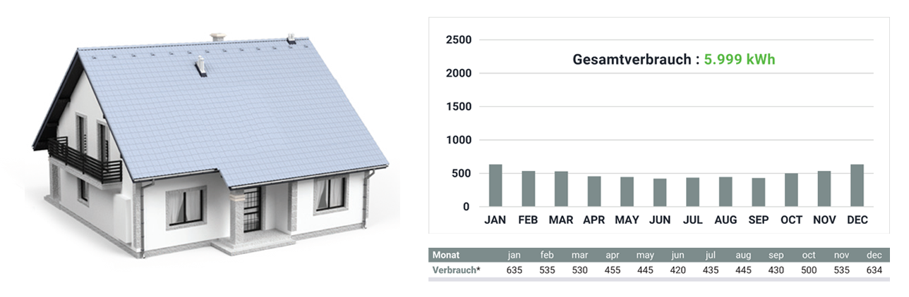 Household consumption