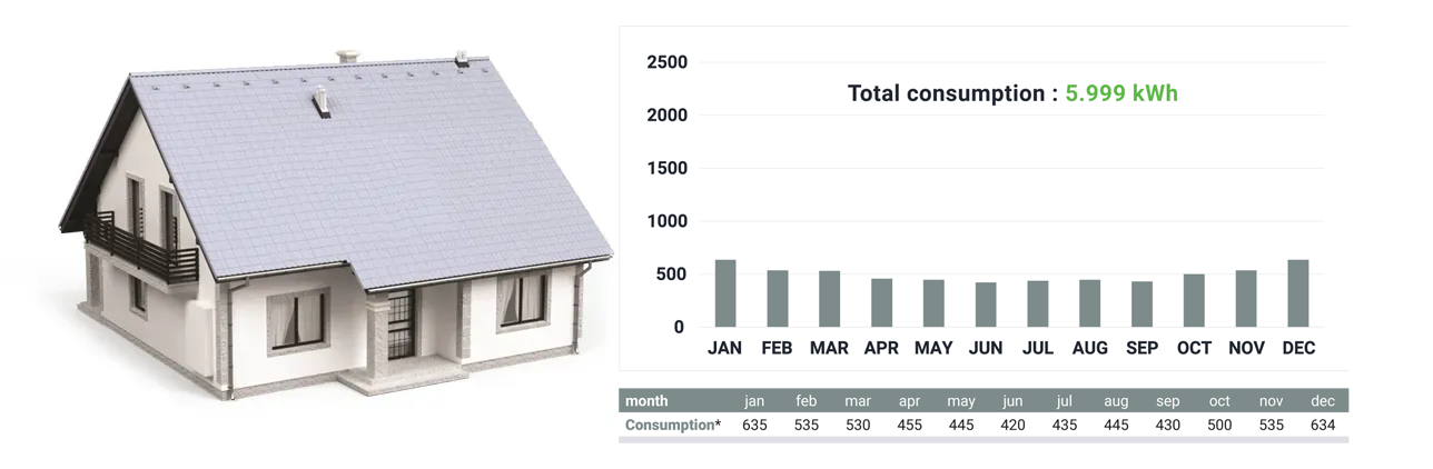 Household consumption