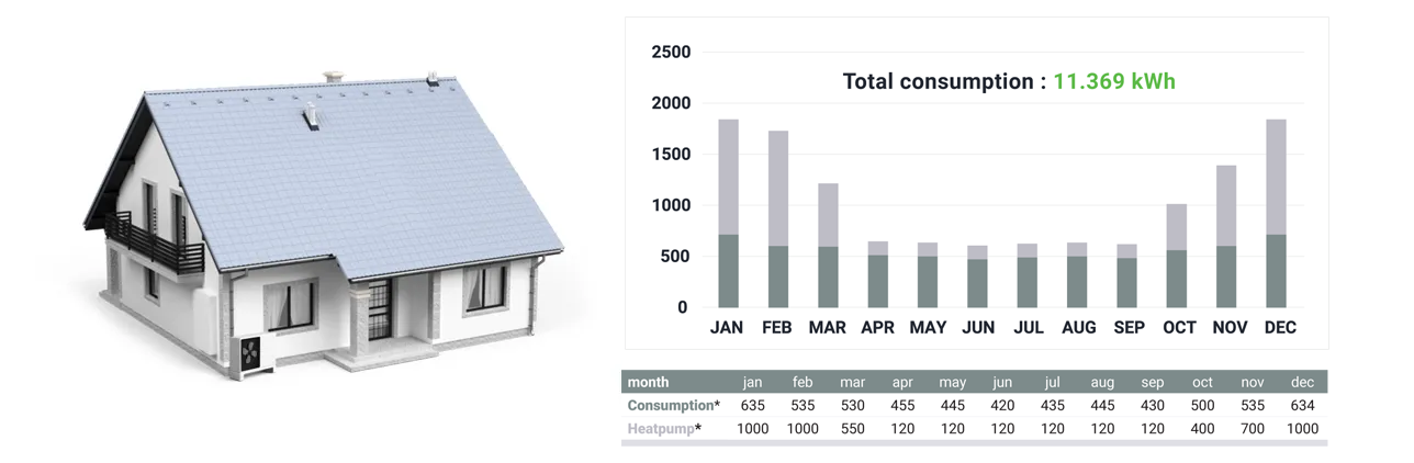 Household consumption