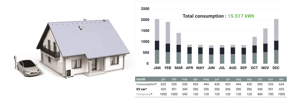 Household consumption