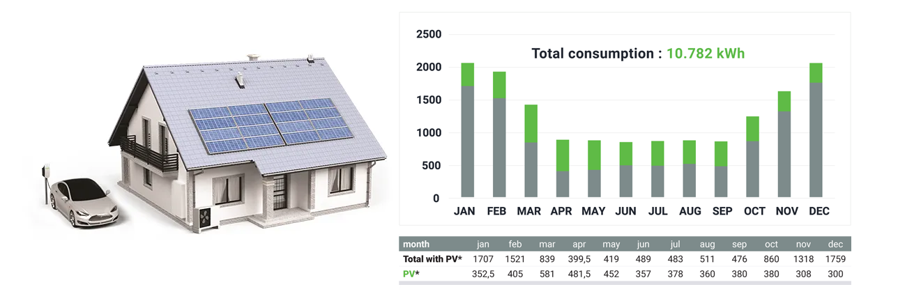 Household consumption