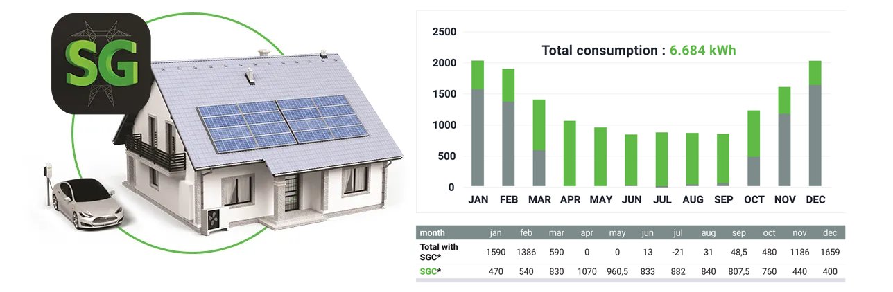 Household consumption